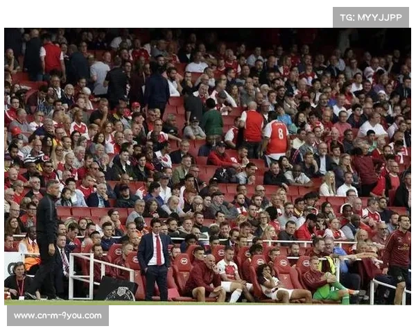 英超热潮助推英国足球观赛旅游蓬勃发展